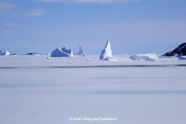 Icebergs of all sizes and shapes stranded in the ocean ice.