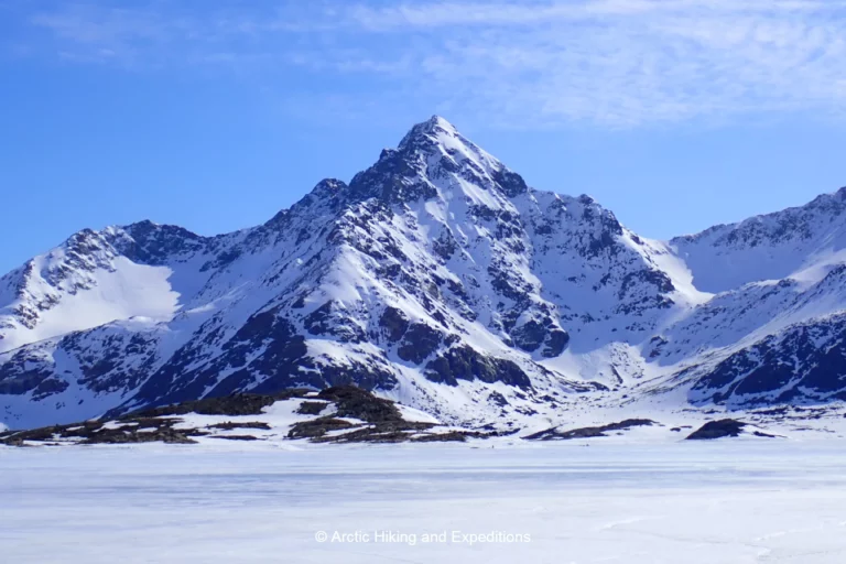 Magnificent mountains seen from the ice