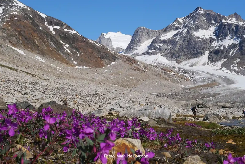 Karale to Tasiilaq Fjord East Greenland