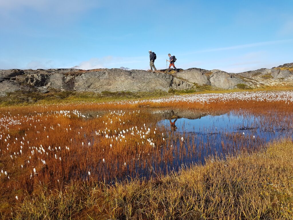 On a rocky ridge above Tiniteqiilaq East Greenland.