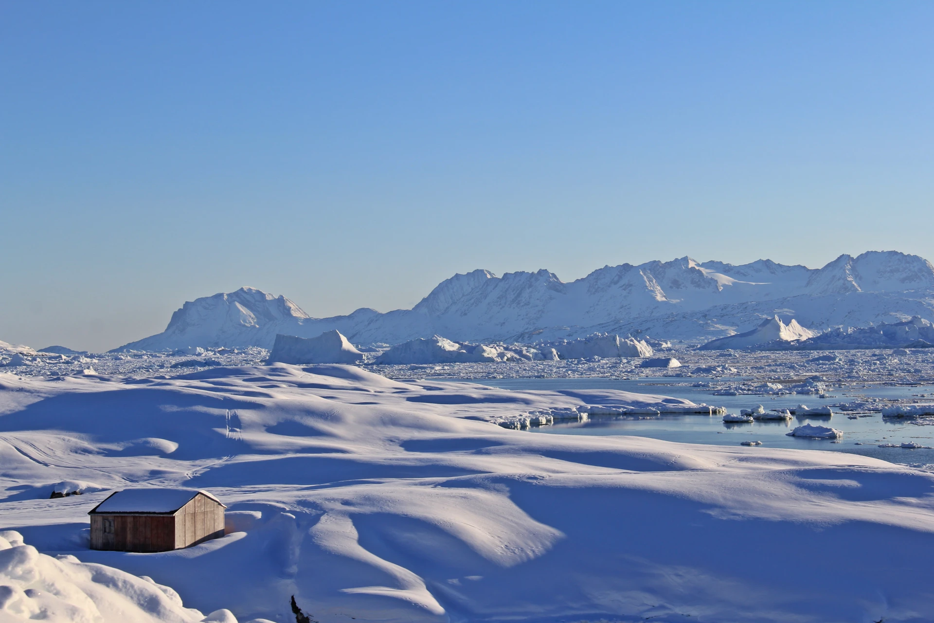 Greenlandic Dogsled Expedition - Image 6
