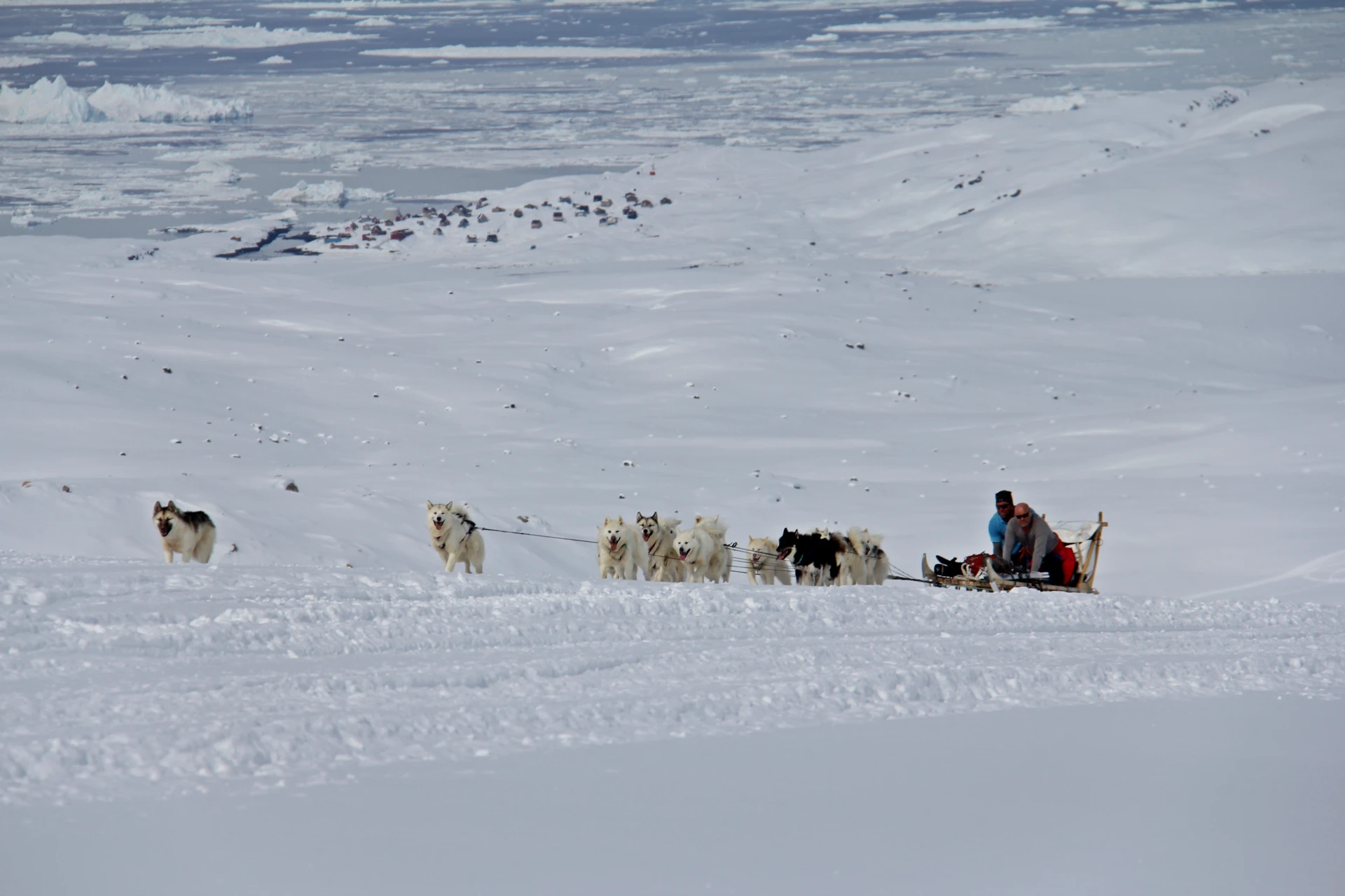 Greenlandic Dogsled Expedition - Image 14