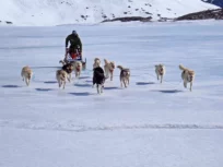 Dogsled Epedition