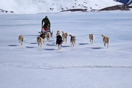 Dogsled Epedition