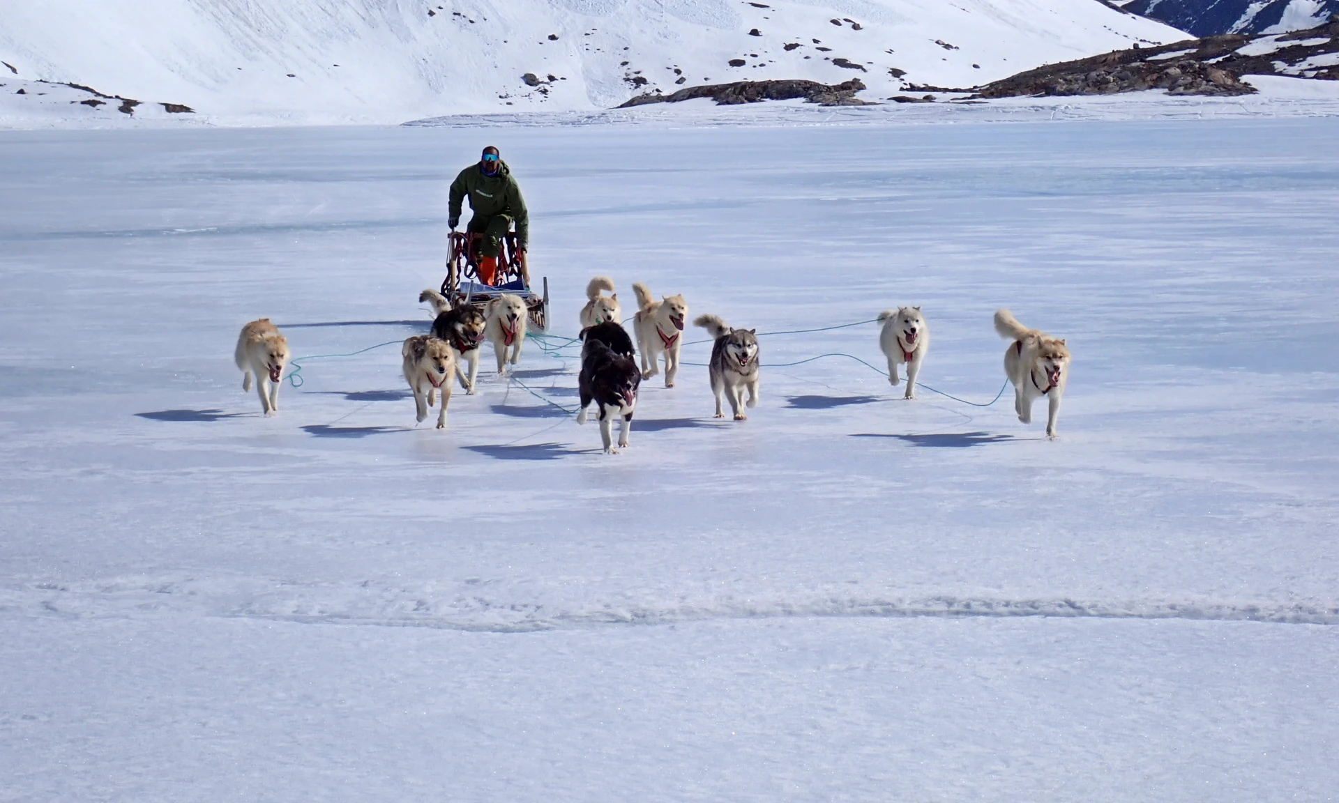 Dogsled Epedition