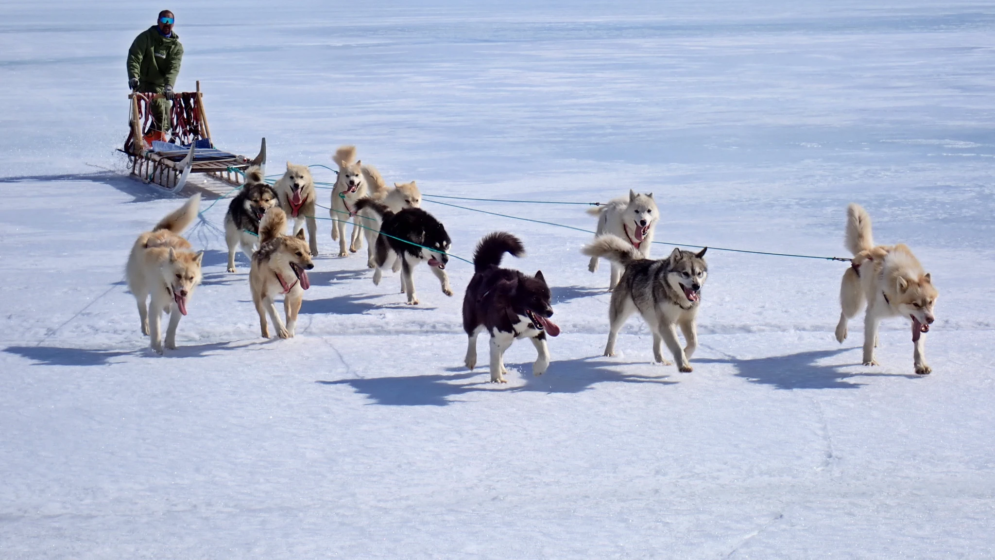 Greenlandic Dogsled Expedition - Image 8