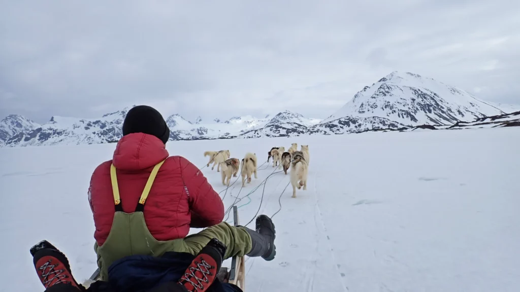 Amazing dog sledding tour from Kulusuk in East Greenland.